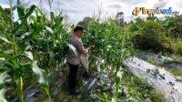IMG-20250304-WA0000