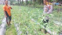 IMG-20250304-WA0022