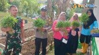 IMG-20250305-WA0017