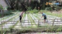 IMG-20250305-WA0019