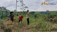 IMG-20250308-WA0015