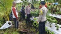 IMG-20250310-WA0012