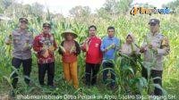 IMG-20250314-WA0013
