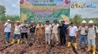IMG-20250318-WA0013