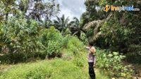 IMG-20250318-WA0015