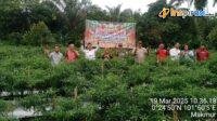 IMG-20250319-WA0027