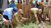 IMG-20250325-WA0017