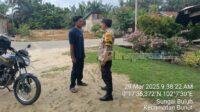 IMG-20250329-WA0013