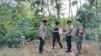 IMG-20250401-WA0021