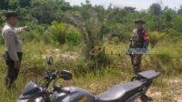 IMG-20250402-WA0014