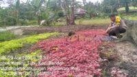 IMG-20250409-WA0037