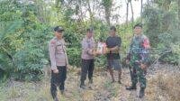 IMG-20250410-WA0031