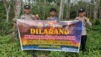 IMG-20250412-WA0009