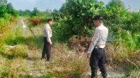 IMG-20250412-WA0022