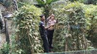 IMG-20250412-WA0028