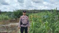 IMG-20250413-WA0024