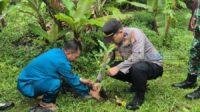 IMG-20250414-WA0025