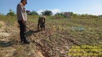 IMG-20250416-WA0046