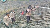 IMG-20250419-WA0045