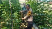 IMG-20250423-WA0011