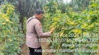 IMG-20250423-WA0021