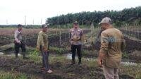IMG-20250424-WA0011
