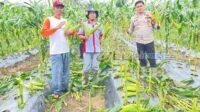 IMG-20250504-WA0016