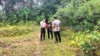 IMG-20250508-WA0024