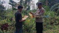 IMG-20250508-WA0025