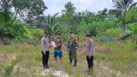IMG-20250510-WA0013