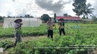 IMG-20250513-WA0026