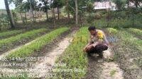 IMG-20250514-WA0025