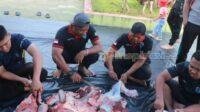 IMG-20250607-WA0014