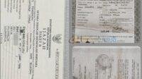 IMG-20250703-WA0001