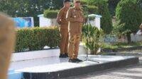IMG-20251027-WA0010